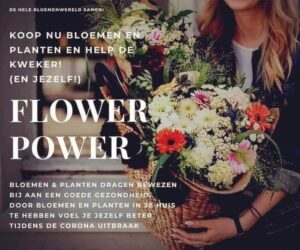 Bij Sjuuls bloemen en planten - Renkum