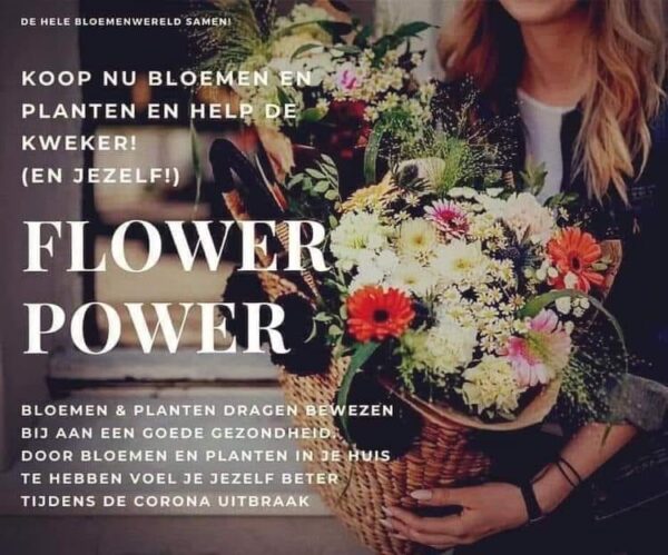 Bij Sjuuls bloemen en planten - Renkum