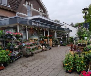 D’oudebloemensmidse heelsum