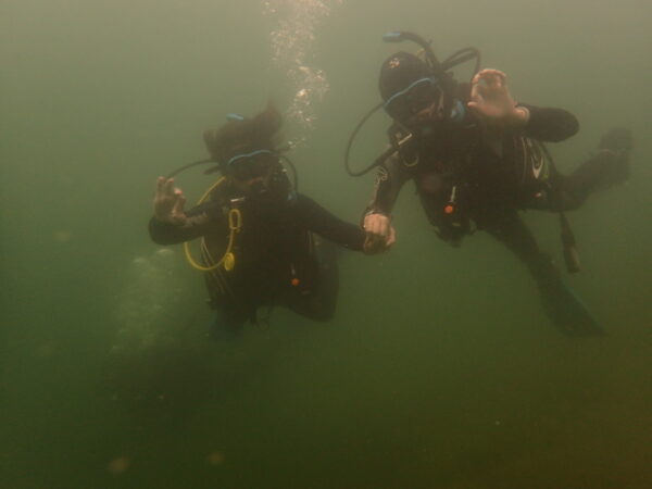 Duikschool de Blauwe Zeester - Renkum - Afbeelding 4