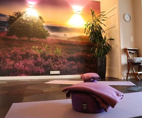 Shiva Yoga & Coaching - Oosterbeek