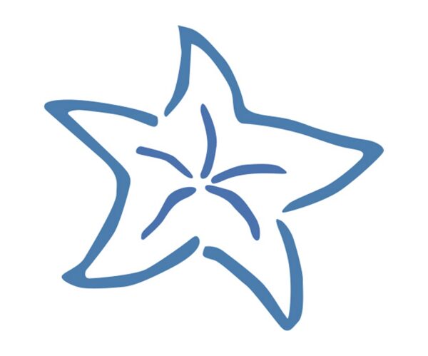 Duikschool de Blauwe Zeester - Renkum